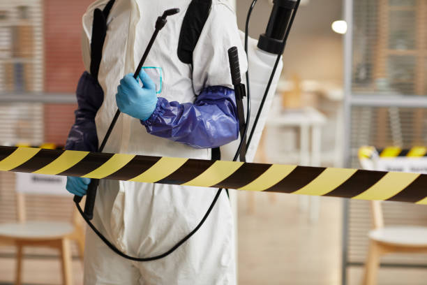 Professional Hoarding Cleanup technician working in Bloomington, TX
